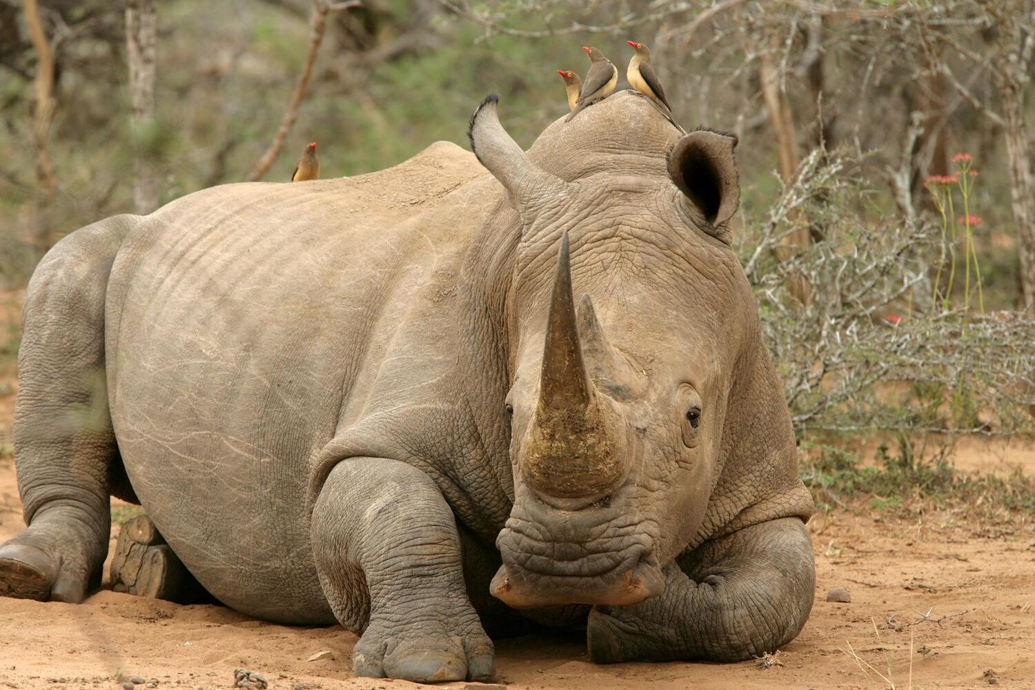 PlaceholderImage1302